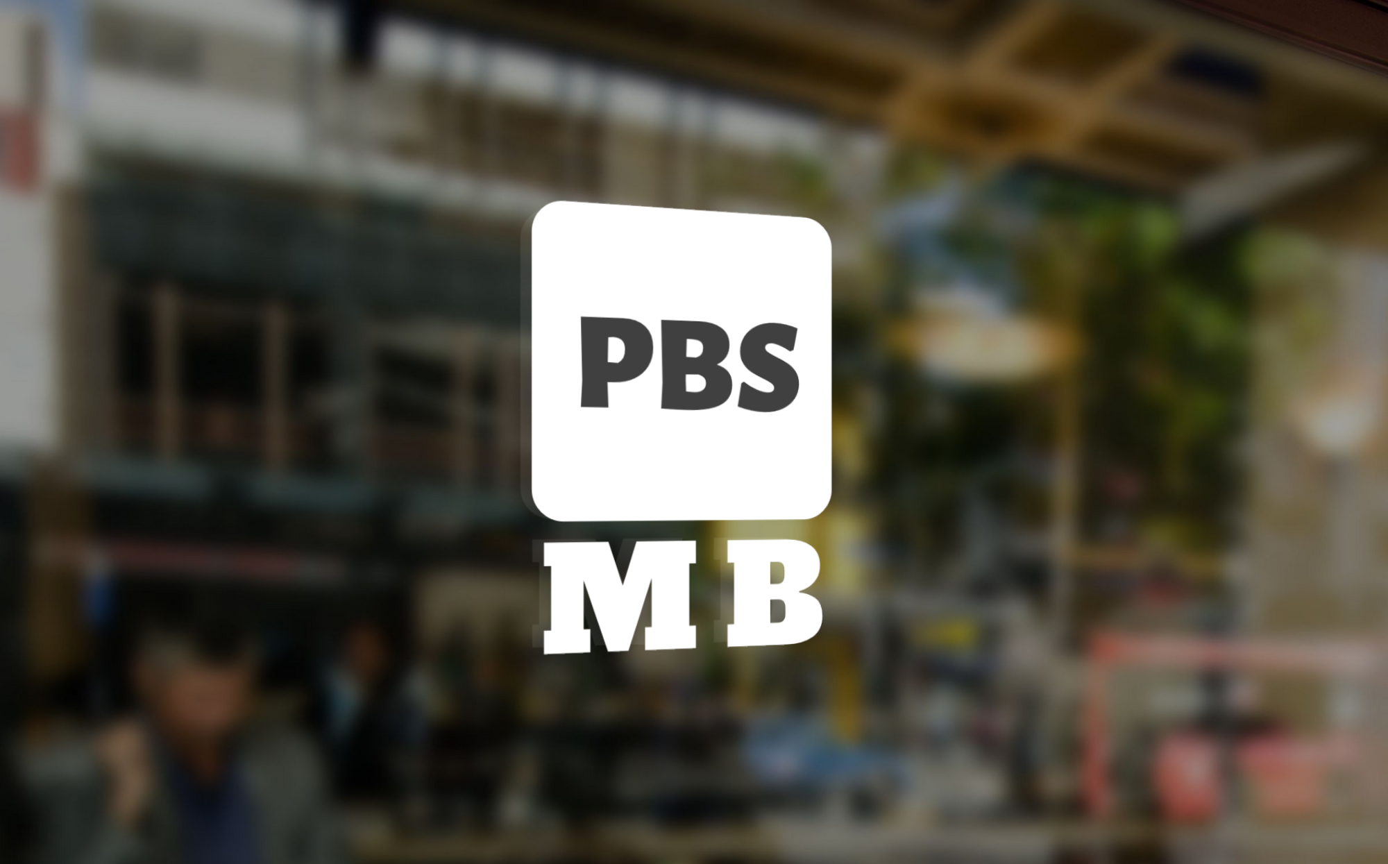 Provision of business and services s.r.o.